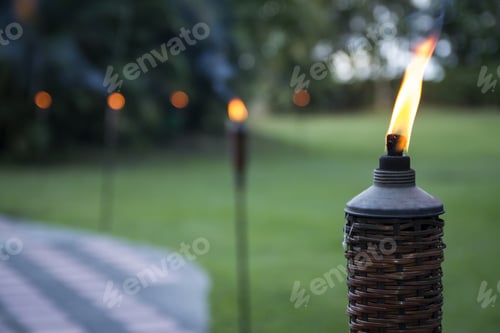 Preview: Selective focus shot of a lit torch in the middle of a garden