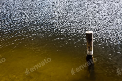 Preview: Wooden picket in lake