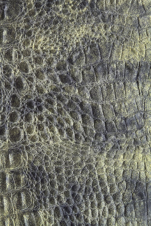 Preview: Leather texture background