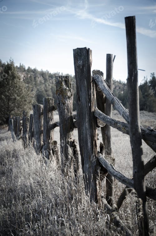 Preview: Fenceposts in the desert