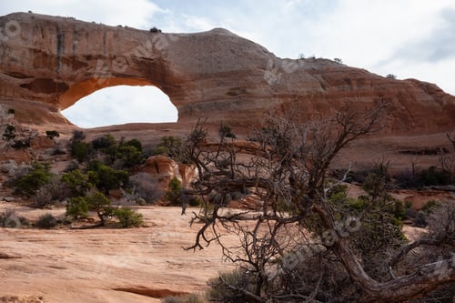 Preview: View of Wilson Arch during a sunny day