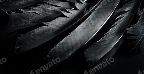 Preview: Halloween background with black raven feathers on dark grunge backdrop.
