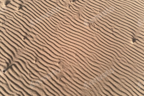 Preview: Desert sand texture with line pattern, top view