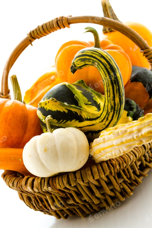 Preview: Mini pumpkins