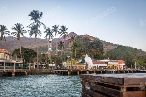 Preview: Great Egret and Vila (Village) Skyline in Ilhabela - Ilhabela, Sao Paulo, Brazil