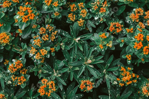 Preview: Dark green tones floral background. Wrapping paper
