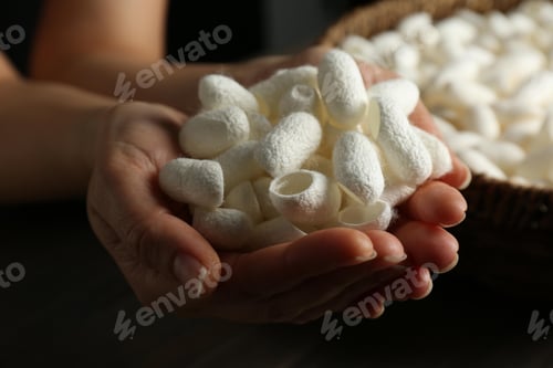 Preview: white silk cocoon, silky, fiber