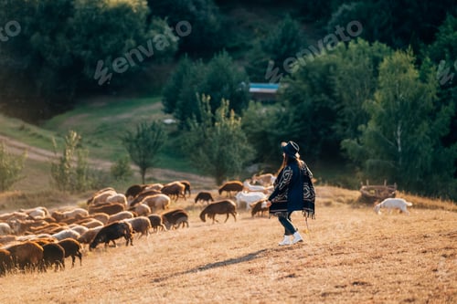 Visualização: Pastora e rebanho de ovelhas em um gramado