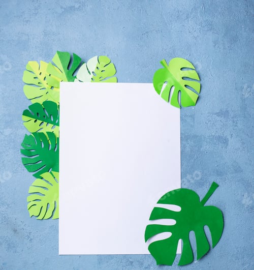 Preview: Background with tropical palm leaves monstera from paper