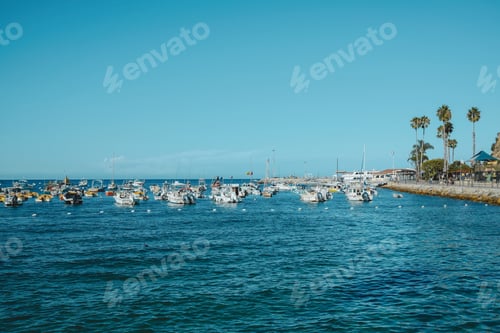 Preview: Tranquil Marina with Boats and Palm Trees