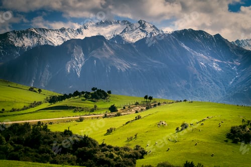 Preview: Rural scene with mountains behind, Kaikoura, Gisborne, New Zealand