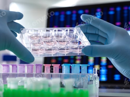 Preview: Scientist examining cell cultures in a lab