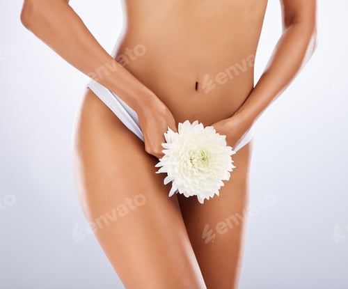 Preview: Gynecology, underwear and body of woman with flower for genital epilation, sensitive and medical he