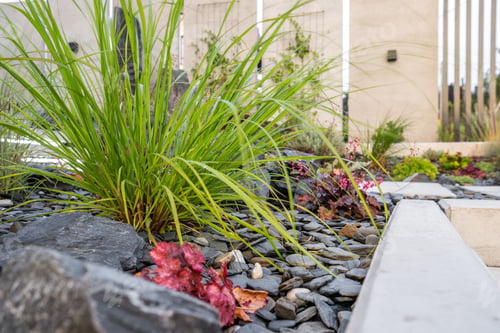 Preview: Flowerbed with Pebbles, Rocks and Grass Shrub