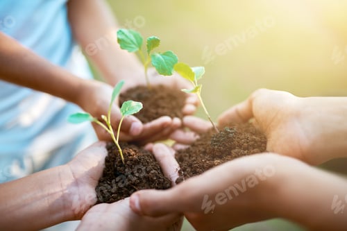 Preview: Closeup shot of unrecognizable kids holding budding plants