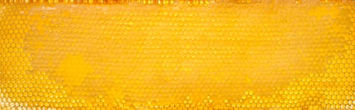 Preview: Fresh comb honey background texture