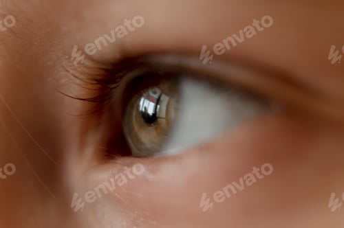 Preview: The photo is a close-up of the eye.