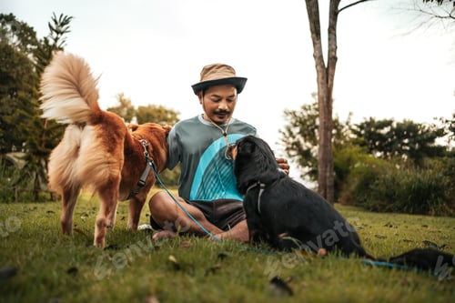 Preview: A man playing with a dog together on grass. Pet, Family, Friendship concept.