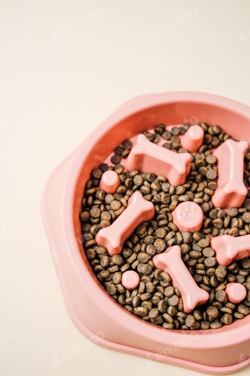 Preview: Pink dog bowl with bone shapes holding dry pet food on a plain background