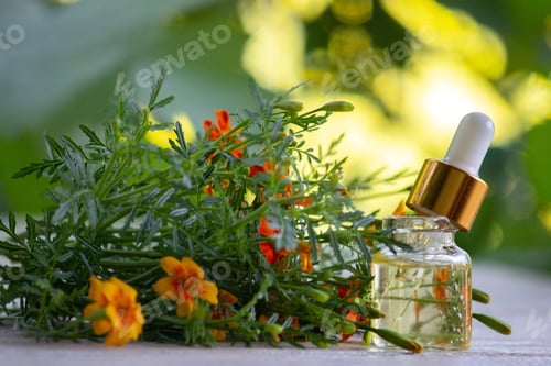 Visualização: óleos essenciais de óleo de calêndula. Foco seletivo