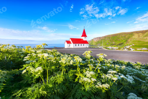 Preview: Ramarkable view of Vikurkirkja christian church in blooming flowers.