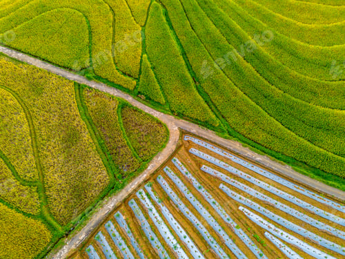 Preview: Beautiful morning view indonesia Panorama Landscape