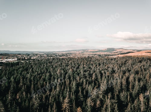 Preview: aerial view of lush forest lake and mountains under a cloudy sky in rotorua, new zealand