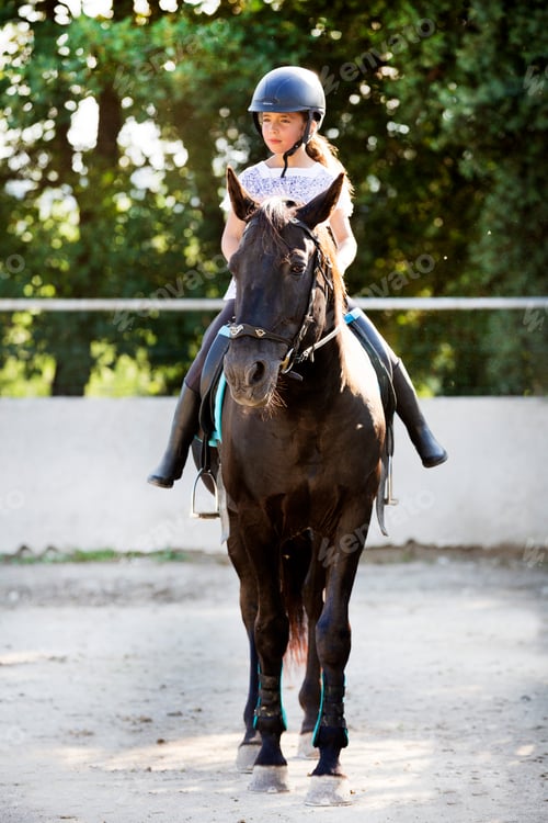 Preview: riding child and horse