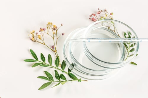 Preview: Abstract natural cosmetic laboratory. Eco bio concept for health care. Top view, flat style, space