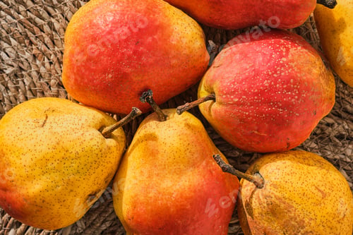 Preview: Straw-lined juicy yellow pears, wholesome food, organic fruits