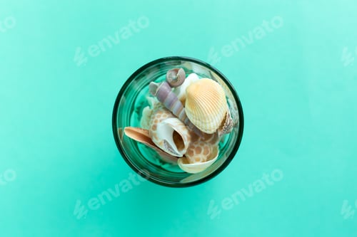 Preview: seashells on a bright background