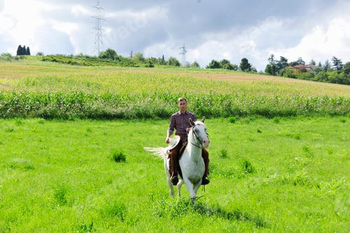 Preview: Young man holding cowboy hat galloping on horse in field