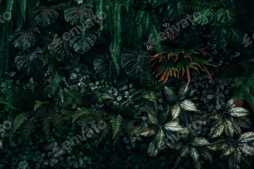 Preview: Close up group of background tropical green leaves texture and abstract background.