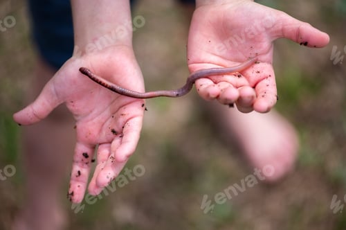 Preview: Earthworm on a girl's hands on a blurry background
