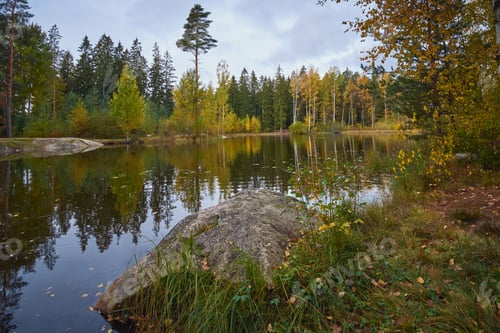 Preview: Ollilanlampi pond in autumn in Finnish Kerava.