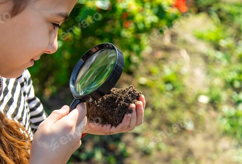 Preview: Children examine the soil with a magnifying glass. Selective focus.