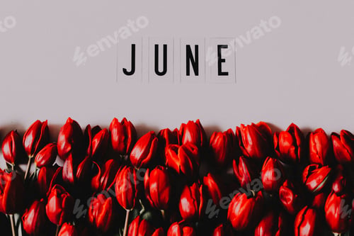 Red Tulips and the Word June on Wall