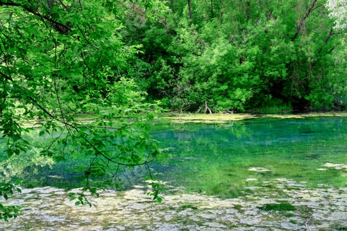 Preview: blue lake in the forest. Beautiful landscape with a lake.