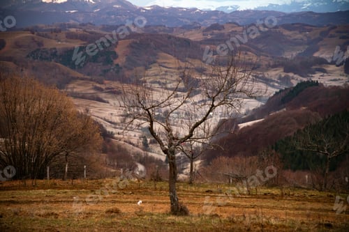 Preview: Autumn rural landscape