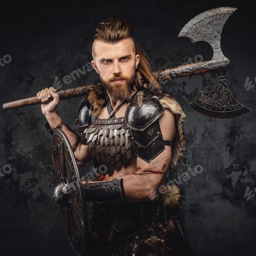 Preview: Bearded Viking warrior dressed in fur and light armor