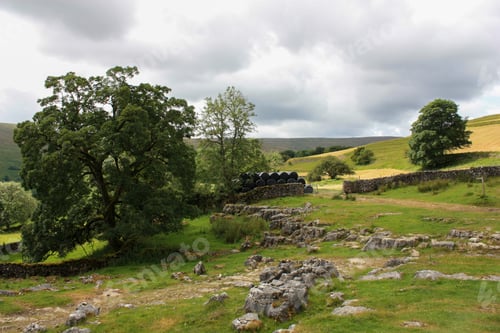 Preview: Lush green field with large, natural rocks and trees scattered throughout.