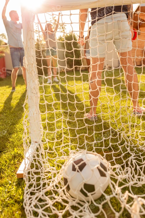 Preview: Friends celebrating scoring a goal while playing football in the backyard