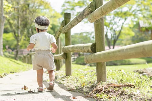 Preview: girl walking along a path next to a wooden fence, in the middle of the green nature in a park.