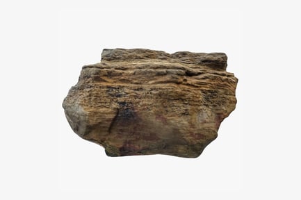 Preview: Coastal Limestone Boulder with Shellfish Details