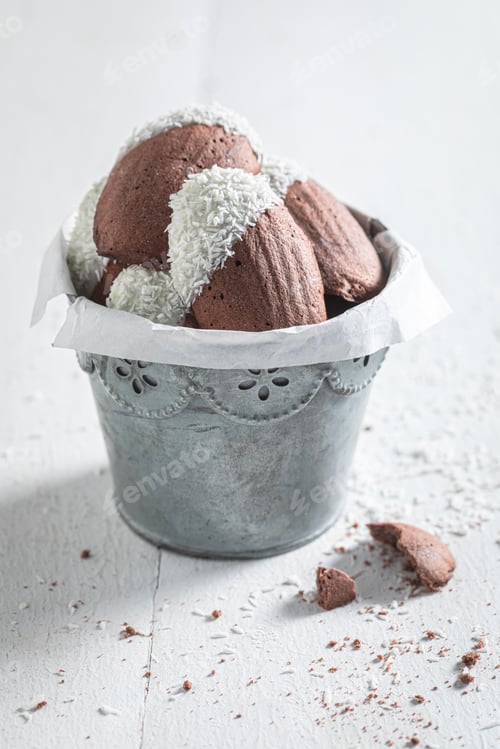 Preview: Traditionally Madeleine chocolate cookies made of cocoa, sugar, and butter