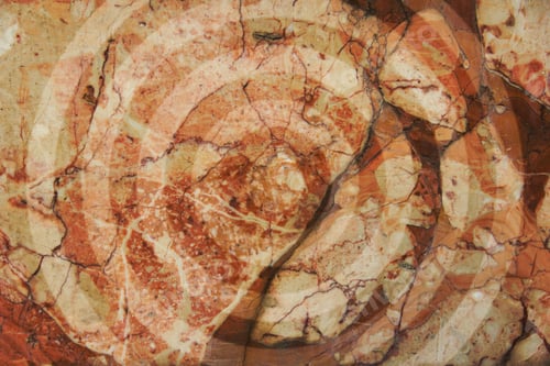 Preview: Grunge Texture And Background
