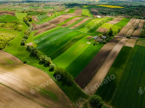Preview: Spring Colors in Farmfields with Fresh Crop Plants Growing. Drone Aerial View