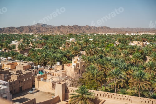 Preview: Nizwa fort in Oman