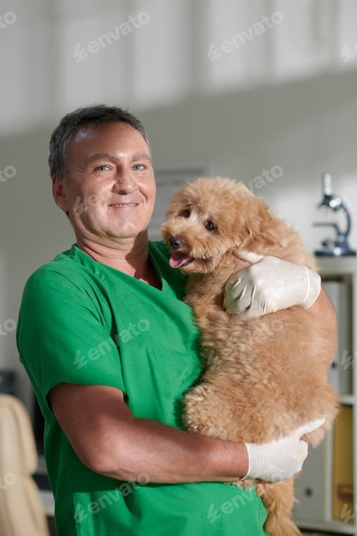 Preview: Veterinarian Holding Small Dog