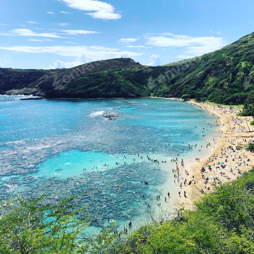 Preview: Scenic view of Hanauma Bay Nature Preserve Park on a sunny day, Honolulu
